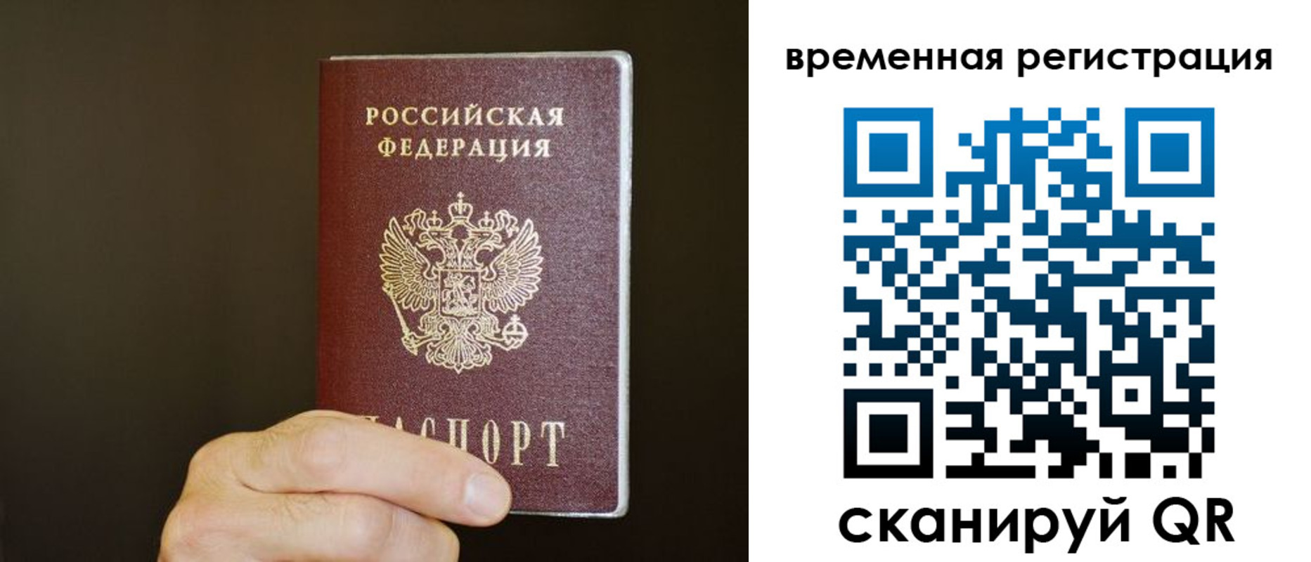 прописка гарантия в Курчатове